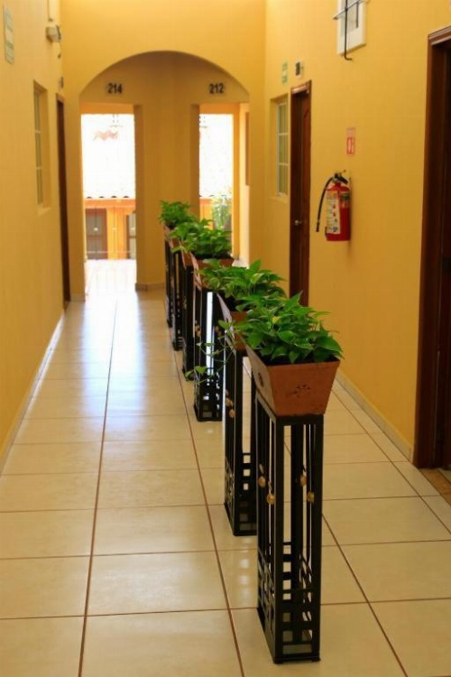 Hotel Casa Danna image 13